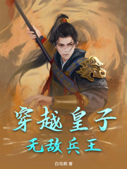 穿越皇子，无敌兵王完结版