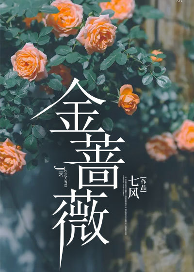 金蔷薇小说