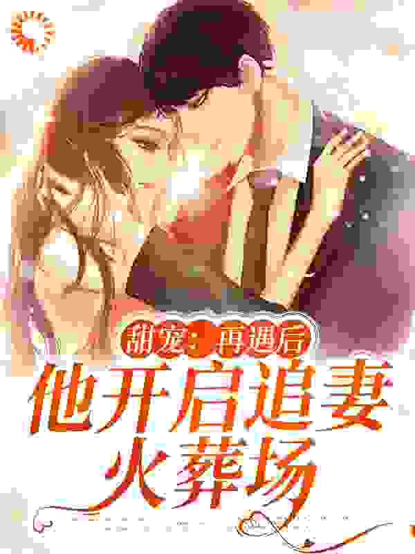 力推甜宠：再遇后，他开启追妻火葬场小说