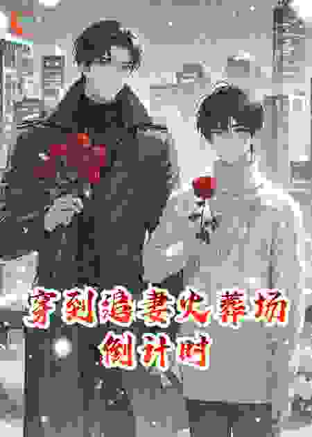 穿到追妻火葬场倒计时