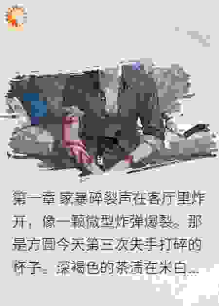 拳脚冠军妻：打不过我直接玩消失