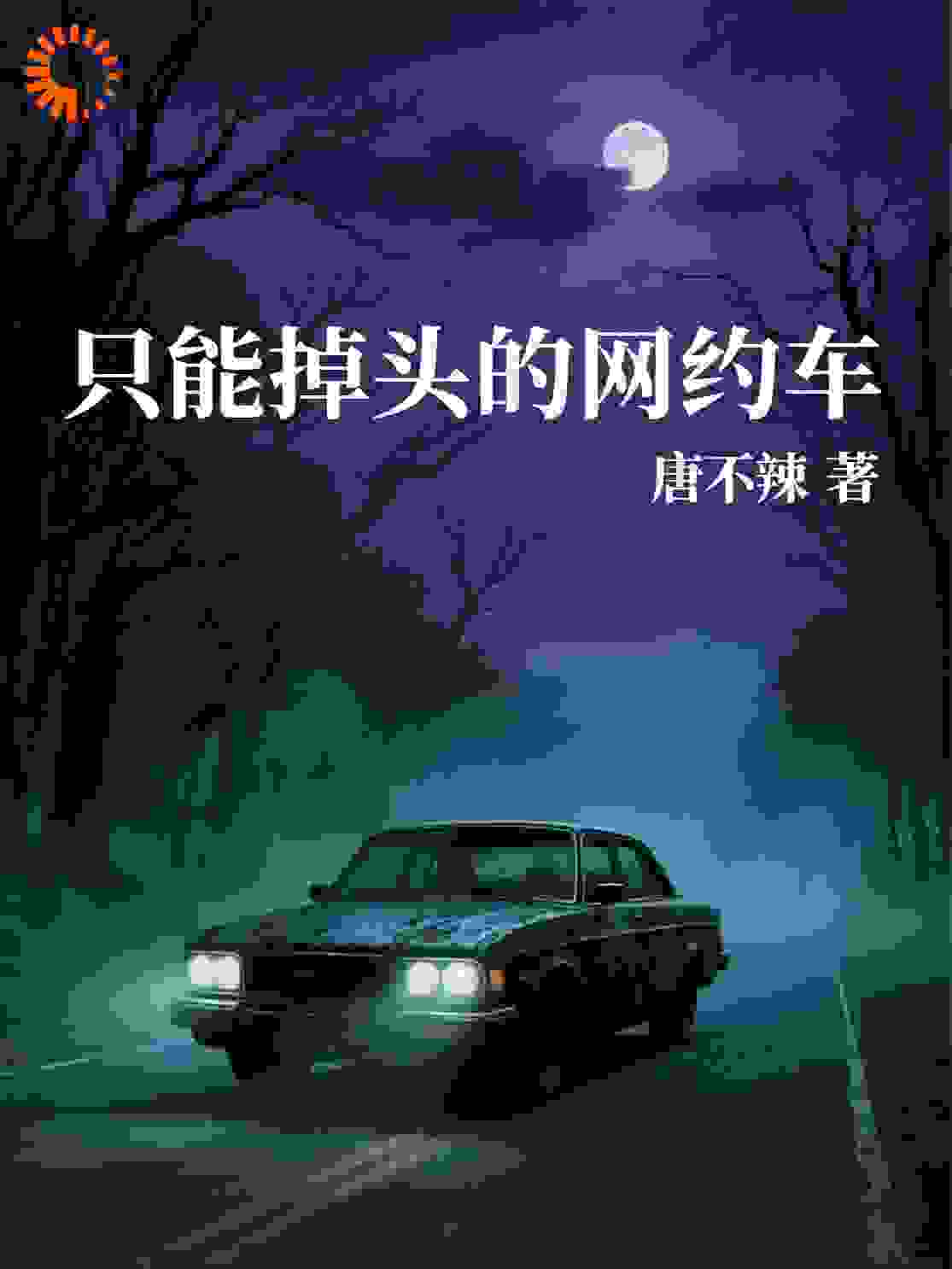 只能掉头的网约车